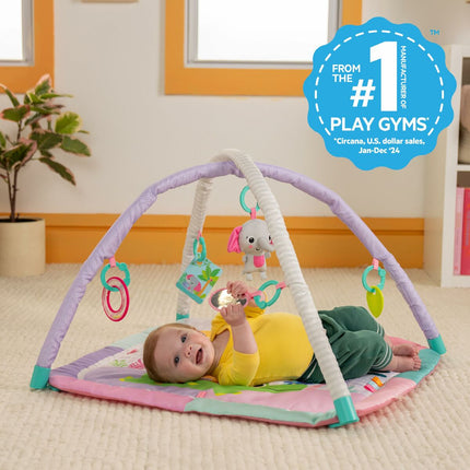 V4H7FDA5C42A5F478DF120C4C7B7E1516BAR7025490P4