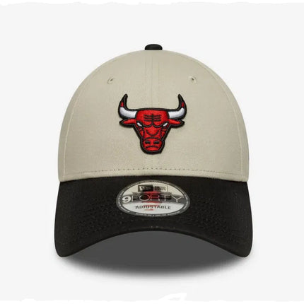 V4HDBA2199B2490D419A68DF1EE3C203F57R6106340P3