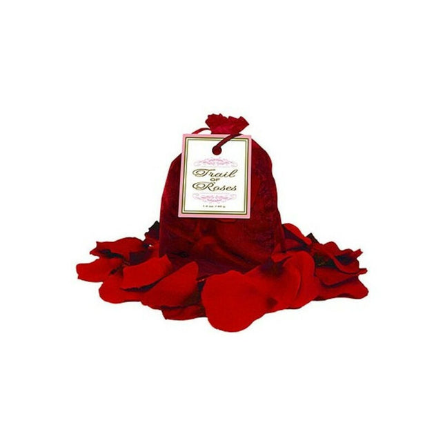 V9HBC24B635230E888399B546E0D50A784DR4210471P1