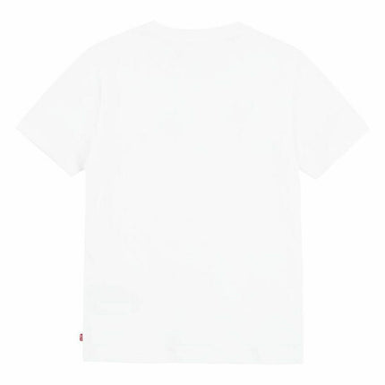 V6HFB6E80196308BBAE548E28F36B13CC2FR4750043P2