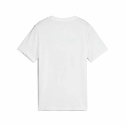 V3H293BD6596394EE3341FCE75CBDD12AF6R6162547P2