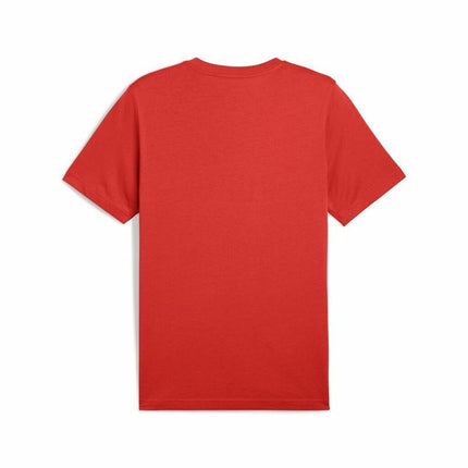 V3HC0AACC0F77D9A8F9A26CF017F6A46689R6595184P2