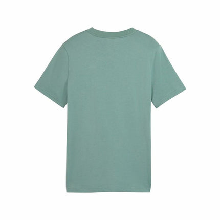 V3HAB11BB11384E547701DF7809148A9CD1R6088283P2