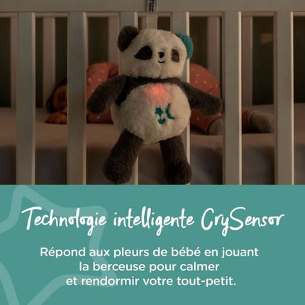 V5H2F377DAFC3AC81F4C101F05CDF98A86ER3365161P4