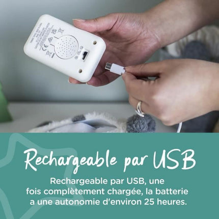 V5H891EA250A356859EE4C0213E828FF42AR3365162P5