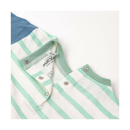 V11HCADA1361BE4F88CE9C15F0999AA3A45AR4088203P6