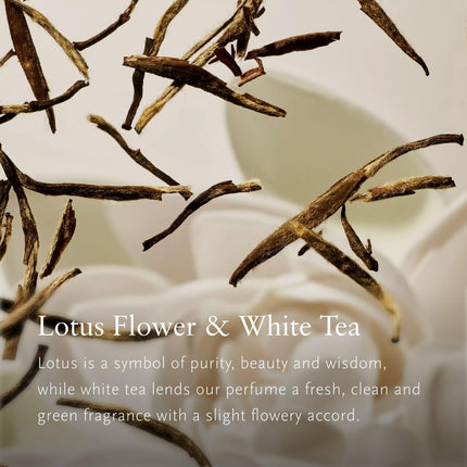 V2H9703361F6F5A2A859B2D7CE99D8F9598R7587143P3