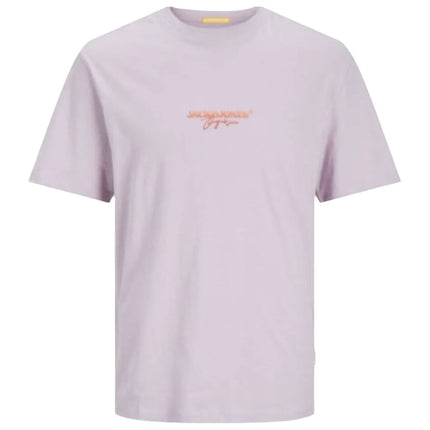 V3H699283F7F61E5F965DBE08499F0DB02BR7070673P1