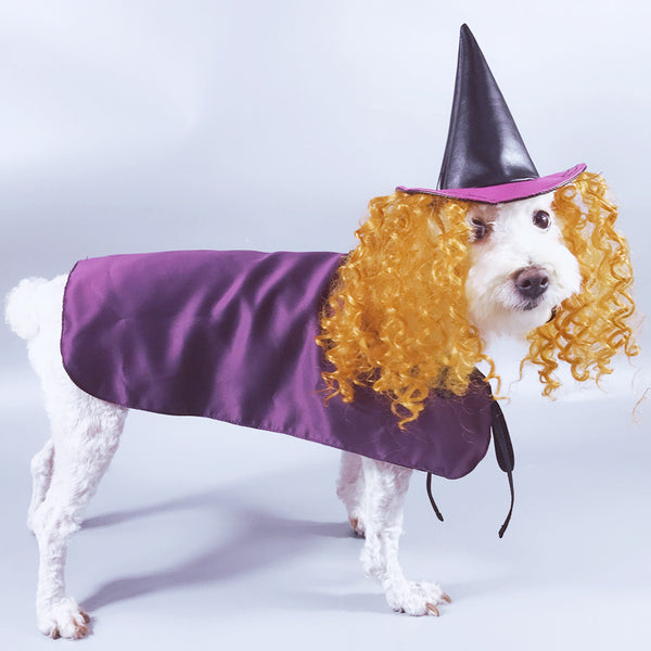 Dog Witch Turned Into A Purple Cloak