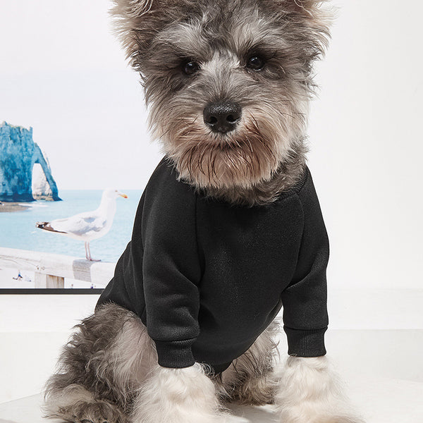 Pet Sweater, Comfortable, Breathable, Warm And Fleece