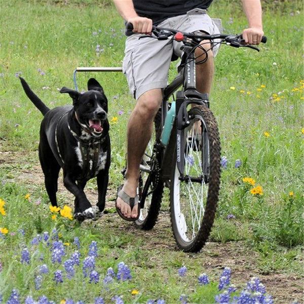 Bicycle Traction Dog Chain Detachable Dog Walker